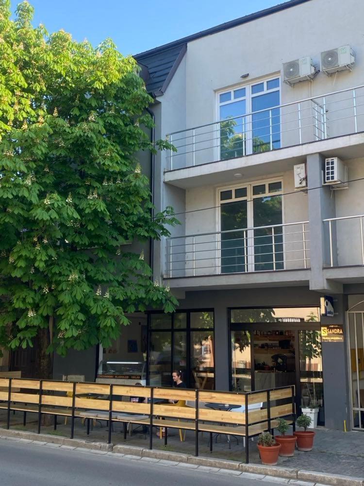 Sandra Apartmani Vrsac Esterno foto