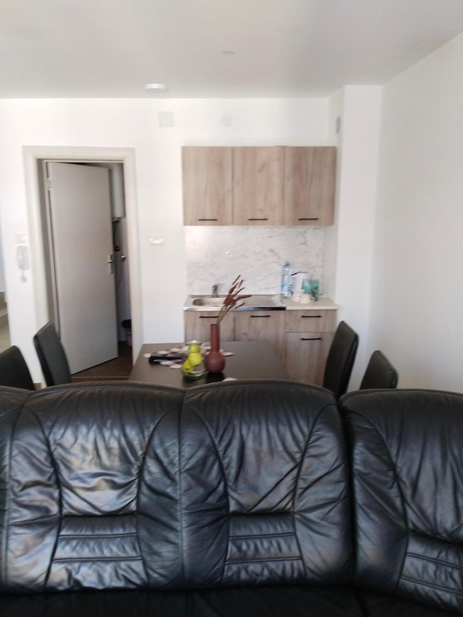 Sandra Apartmani Vrsac Esterno foto